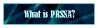 What is PRSSA?