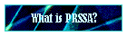 What is PRSSA?