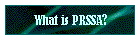 What is PRSSA?