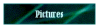 Pictures